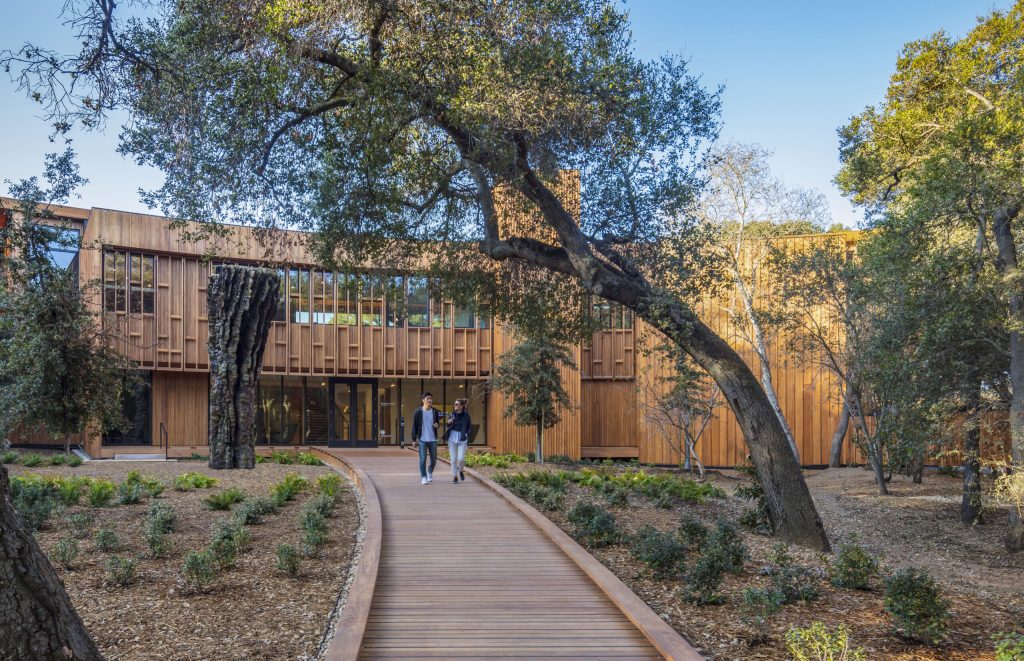 a building with a tree in front