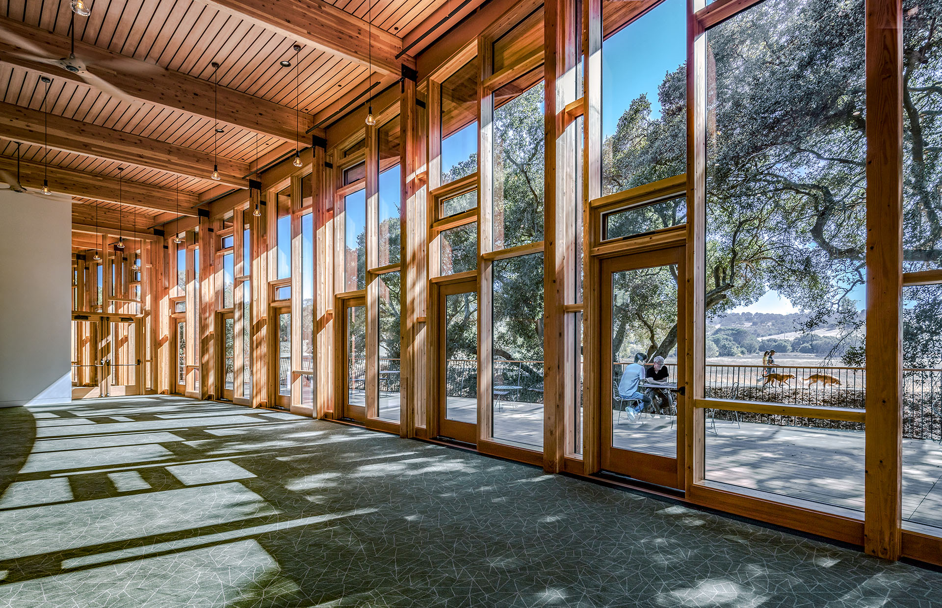 a room with wood walls and windows