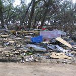 a pile of debris in a forest