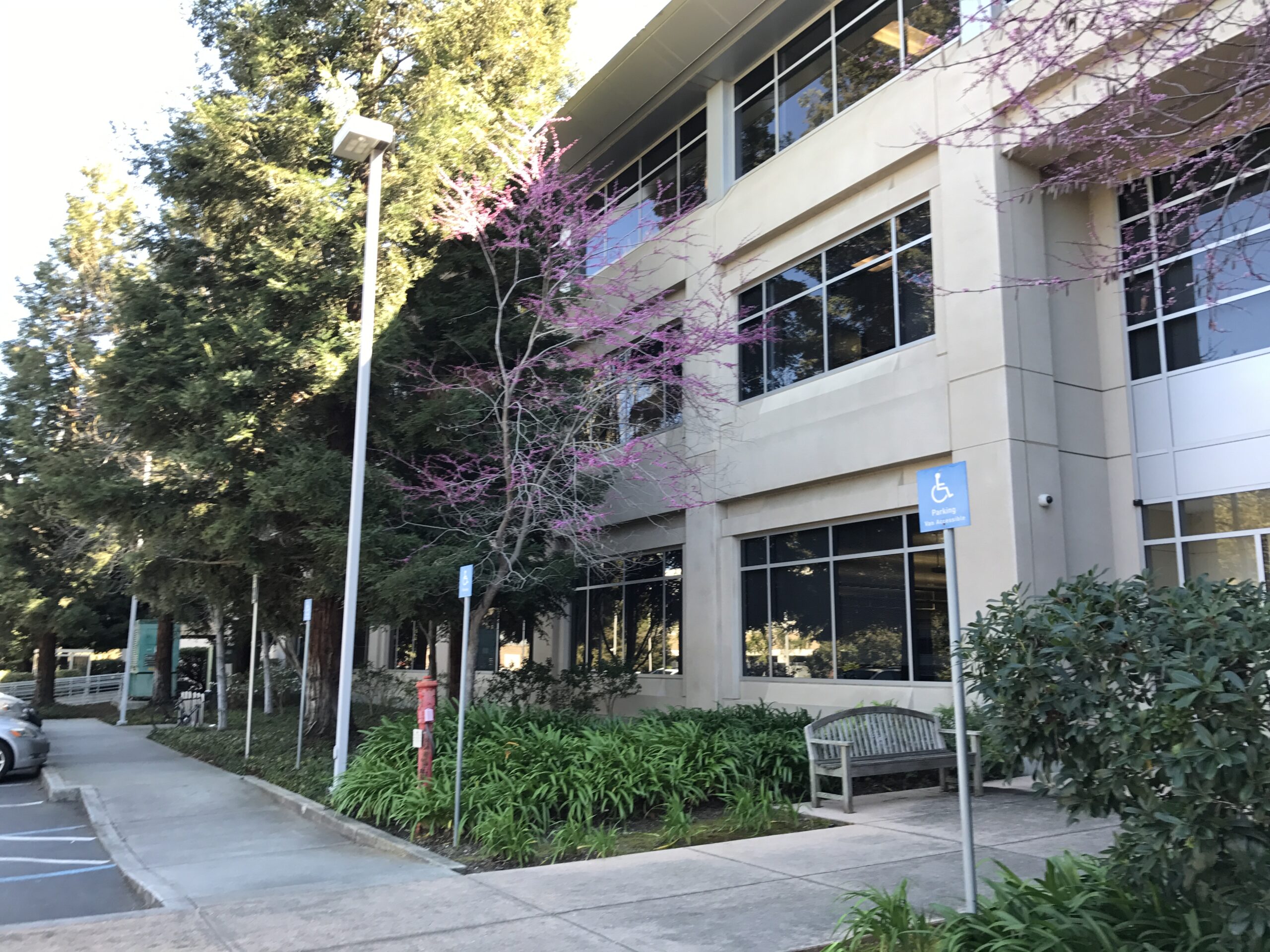 a building with trees and bushes