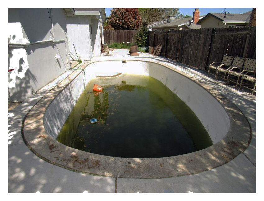 a swimming pool with green water