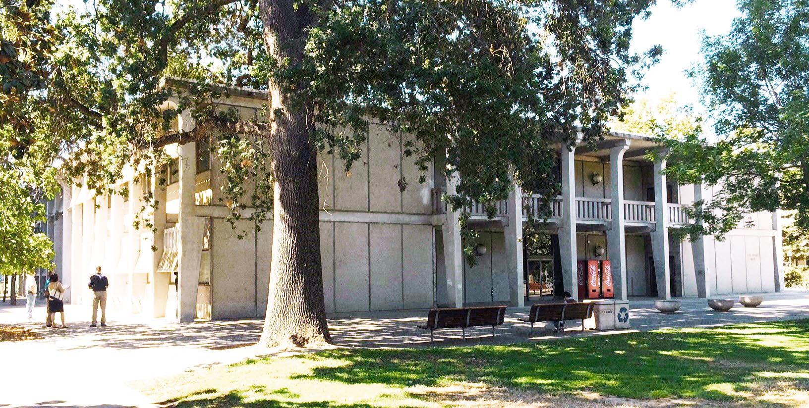 a tree in front of a building