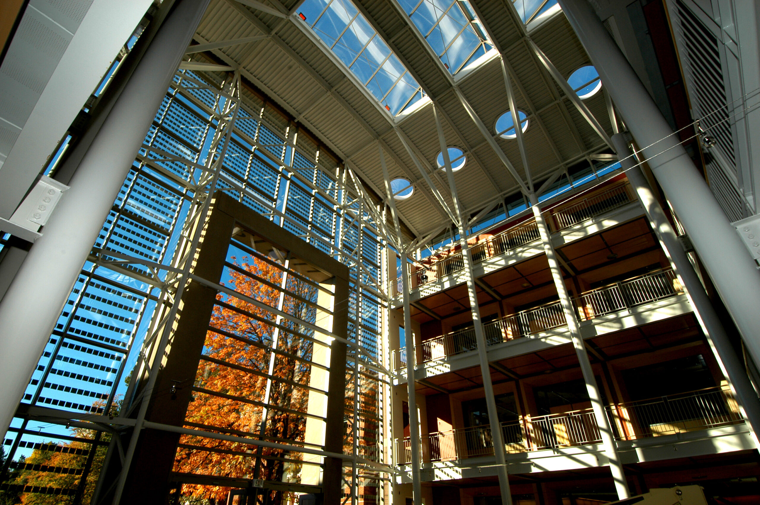 looking up at the sky from the atrium of a building