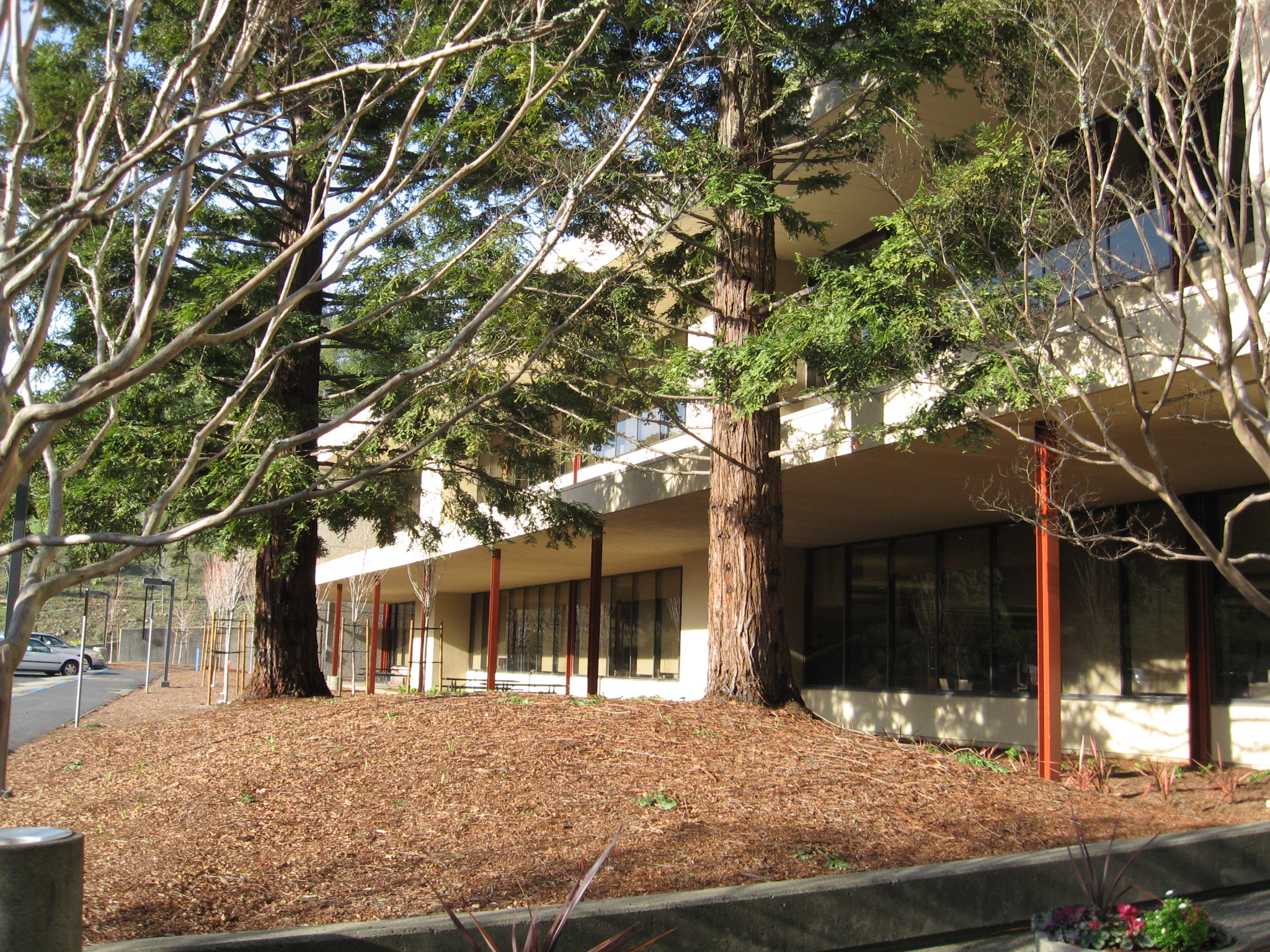 a building with trees in front of it